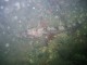 Thumbs/tn_SanJuan 026.jpg